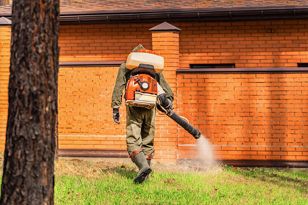 Top rated local Ant Control specialists in Washburn, WI